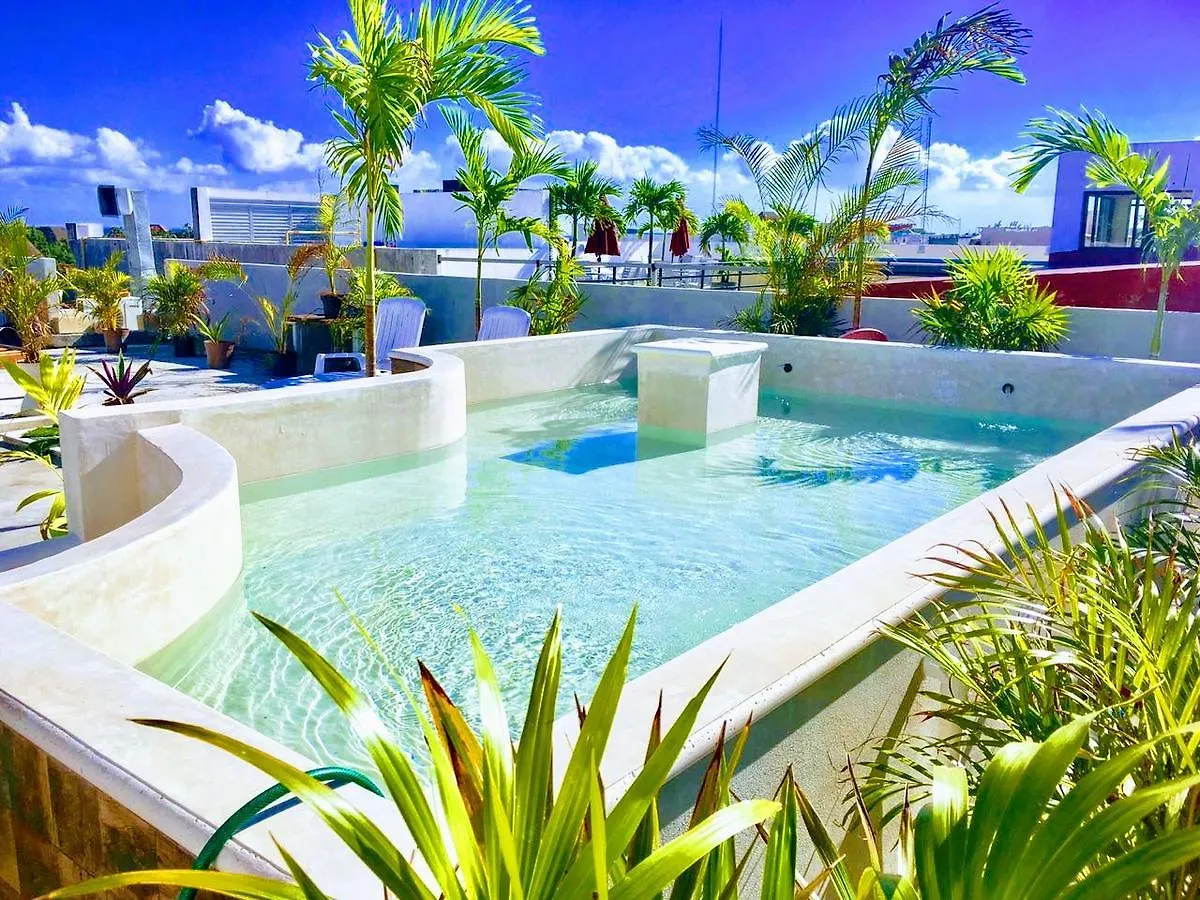 Izsla Hostel Playa Del Carmen Мексика